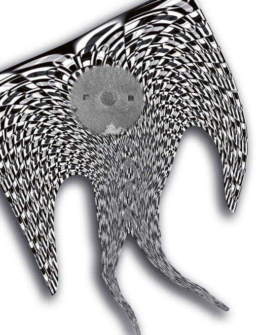 Image by David Coursin